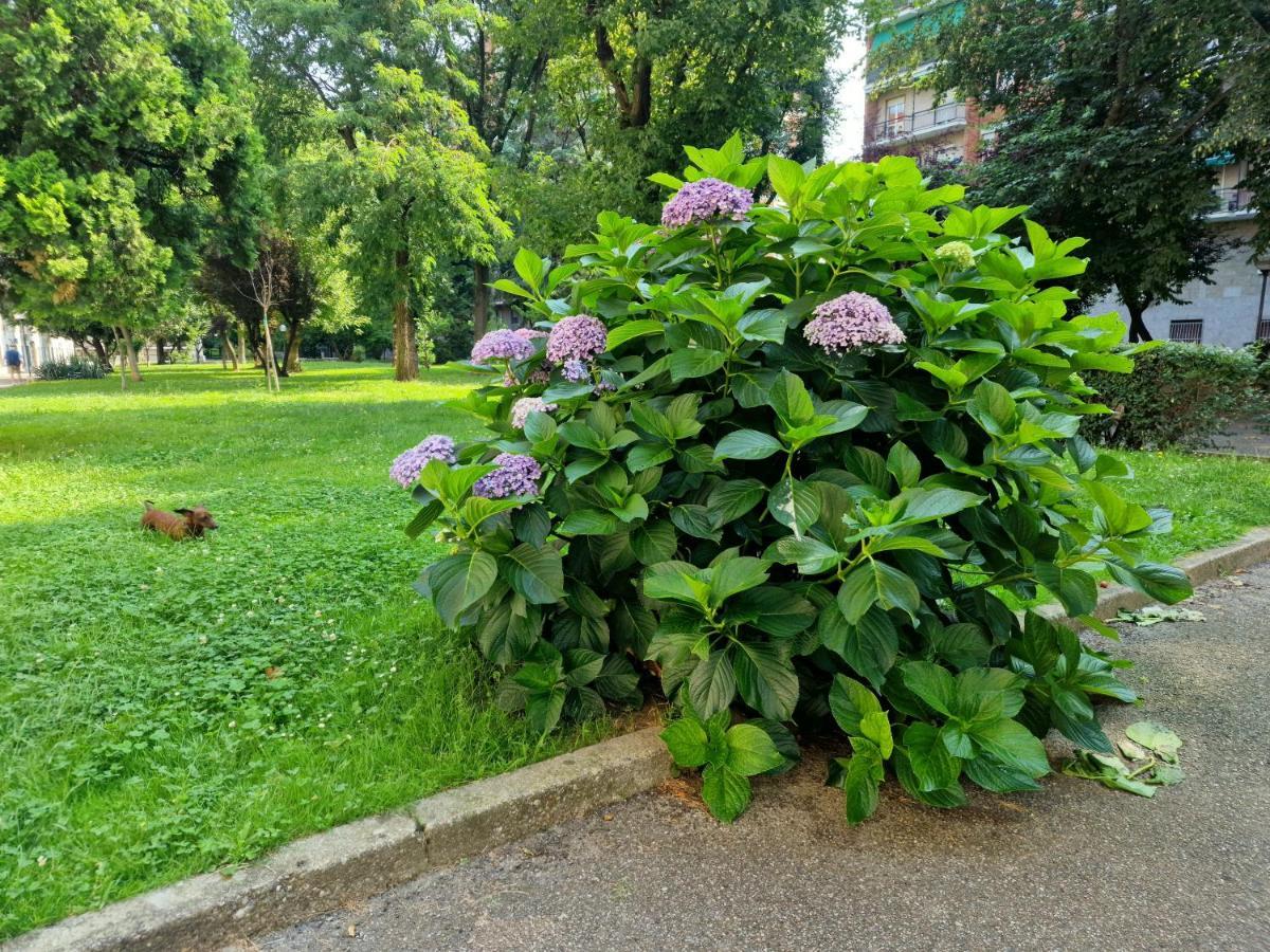 米兰Giardino Sul Naviglio公寓 外观 照片