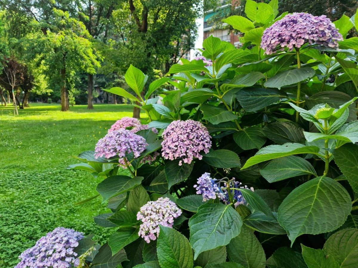 米兰Giardino Sul Naviglio公寓 外观 照片